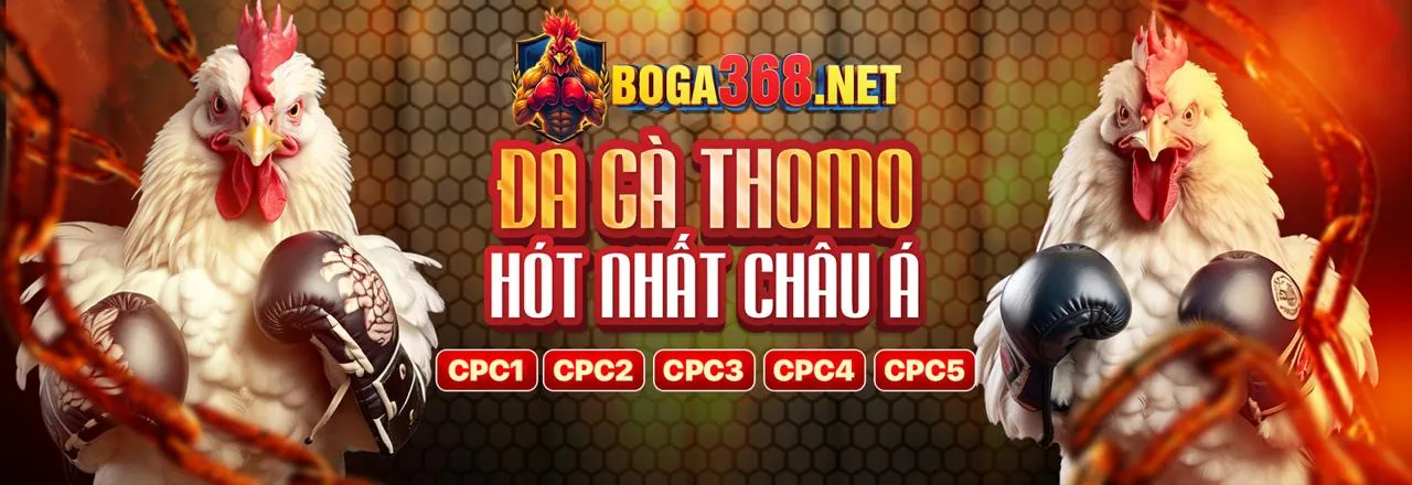 bi888 trên mạng xã hội